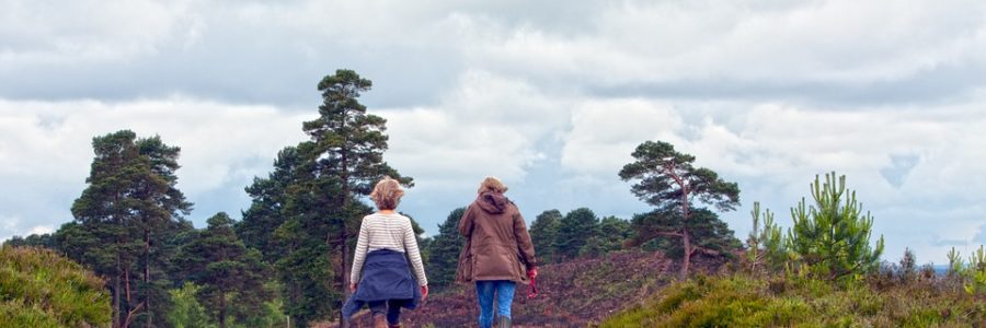 Les bienfaits de la marche