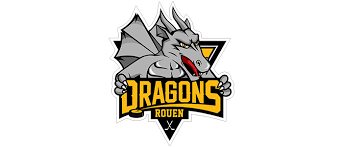 Rouen Hockey élite 76